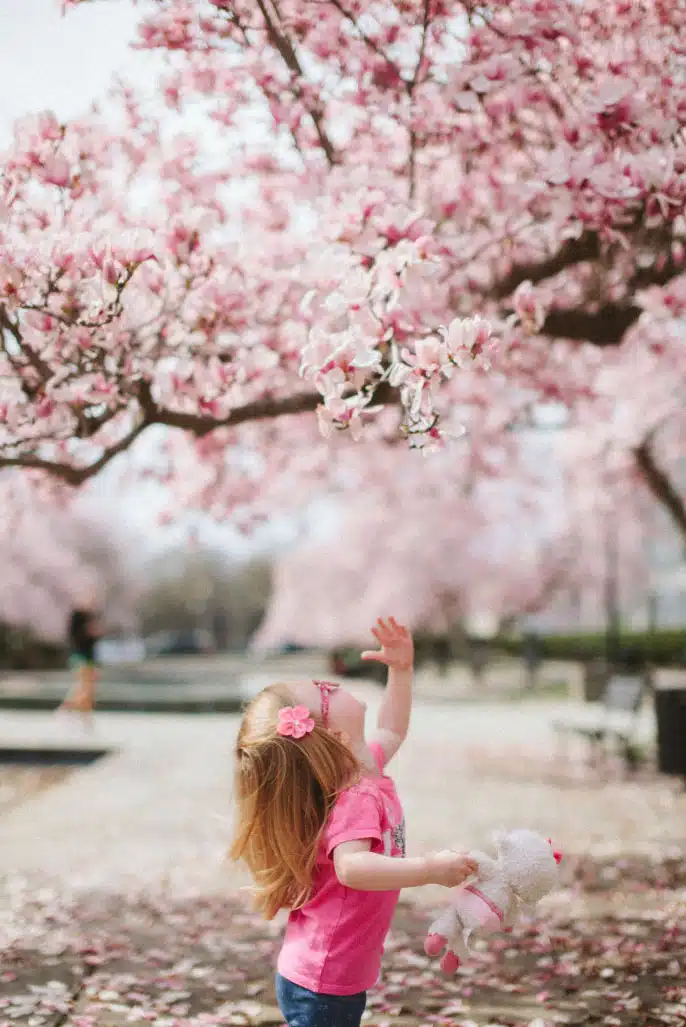 Have You Stopped By An Open House?